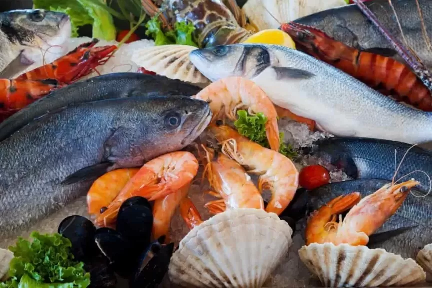 ارتفاع أسعار السمك البلطي والبوري في سوق العبور اليوم الإثنين 22 يوليو 2024
