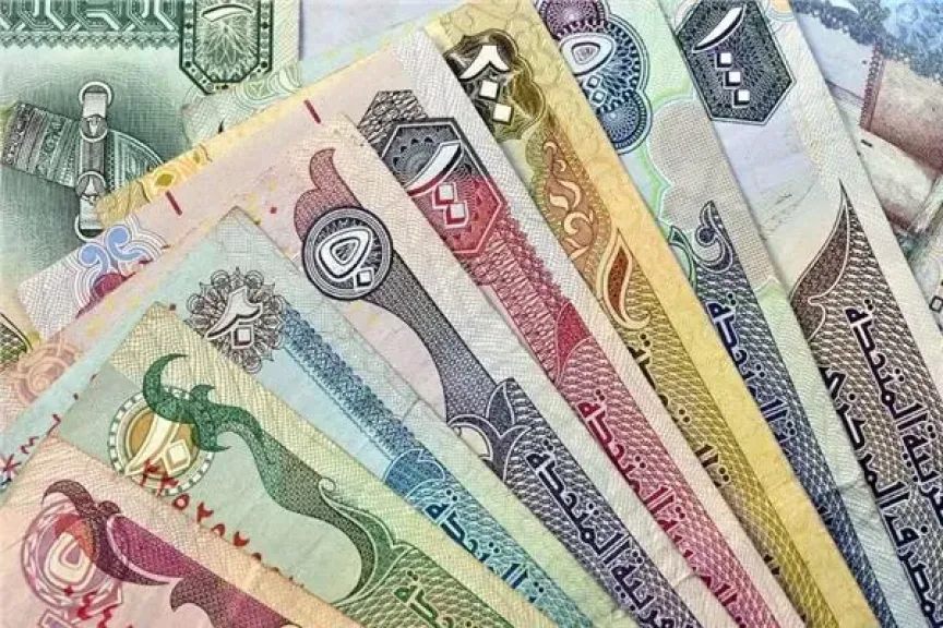 تعرف على سعر الدرهم الإماراتي في مصر اليوم 20 يونيو