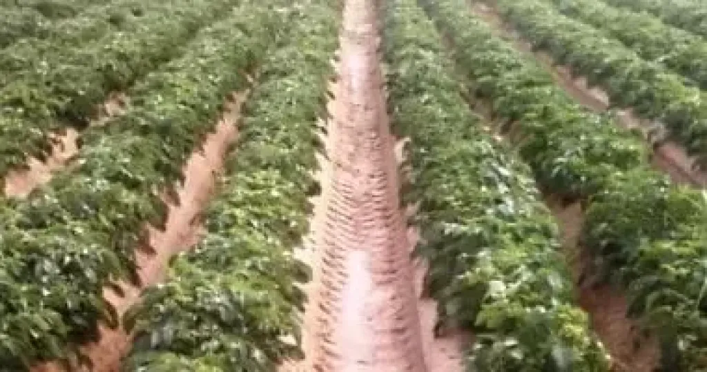 «معلومات المناخ» يحذر من التعرض لضربات الشمس خلال هذه الأيام