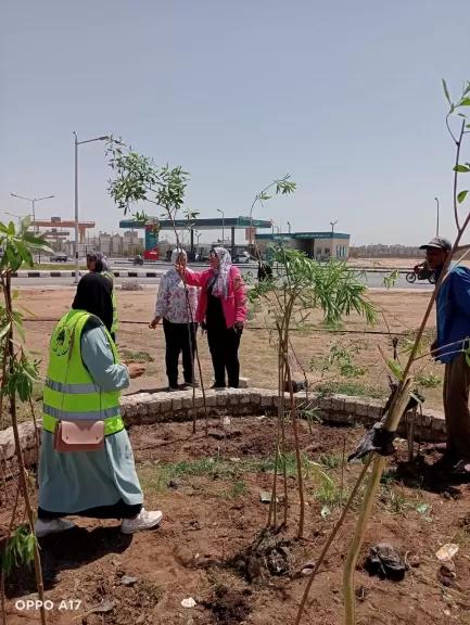 اثناء التشجير الحدائق