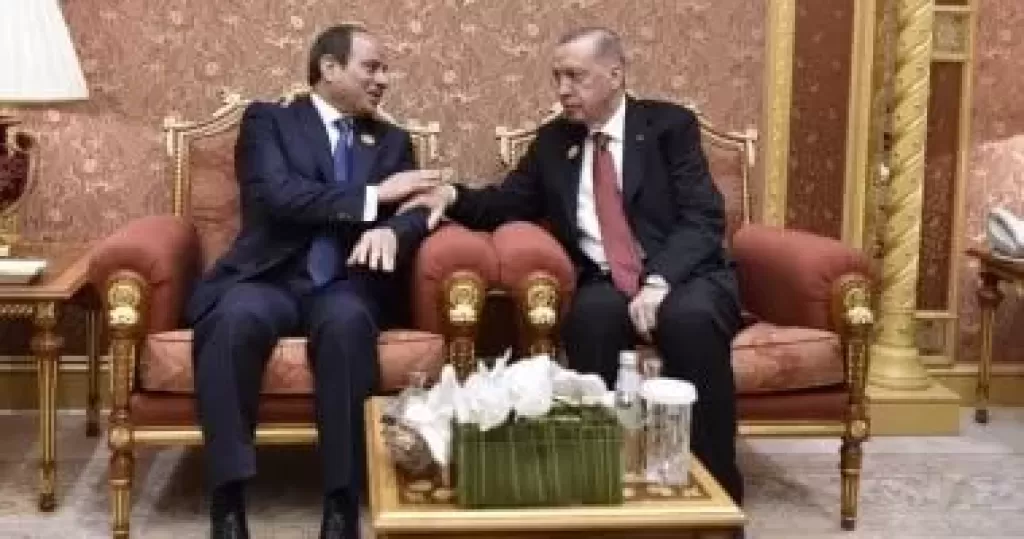 الرئيس السيسي واردوغان