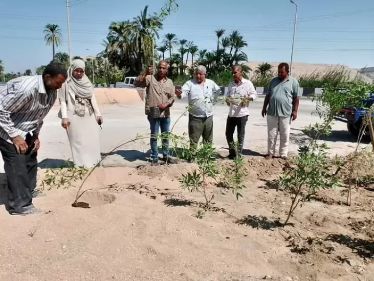 زراعية الشجر 