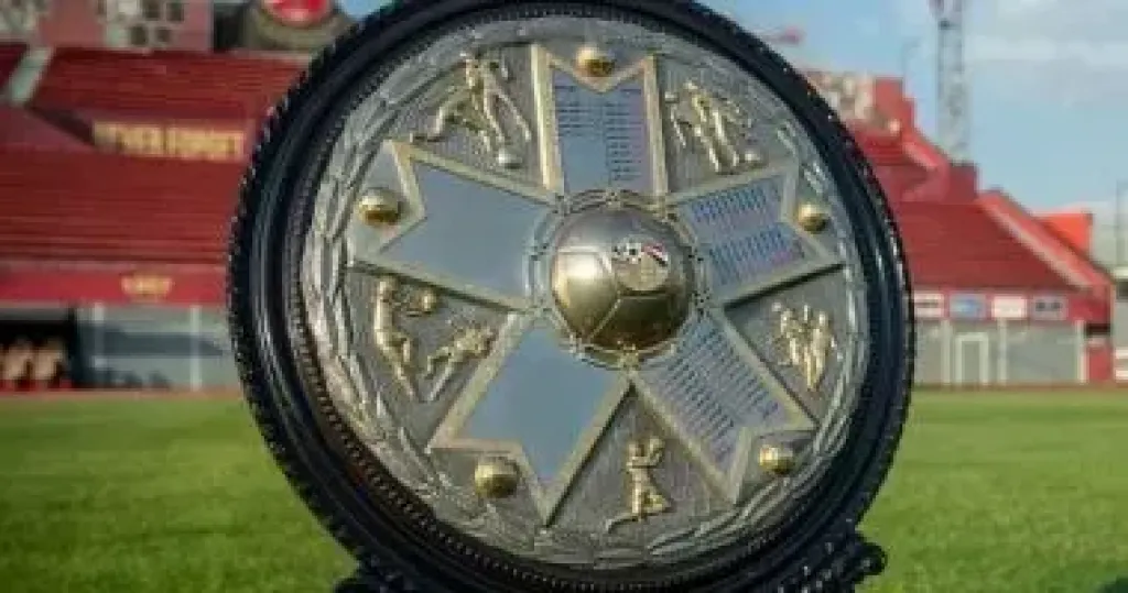  درع الدورى
