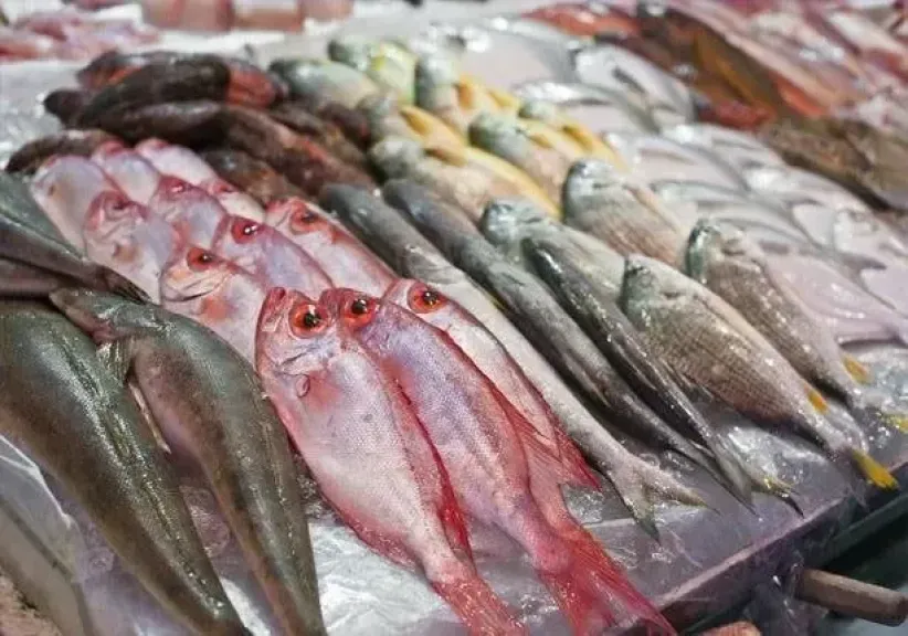 أسعار الجمبري والكابوريا والسبيط في الأسواق المصرية اليوم 28 يونيو