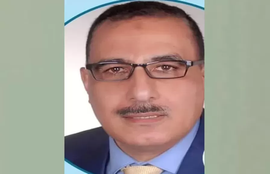 احمد الشناوي خبير الطاقة