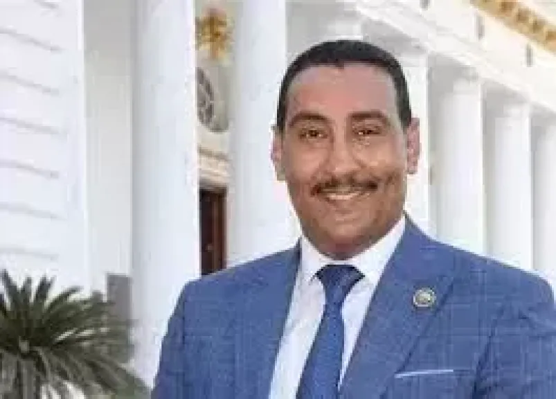 محمد الجبلاوي يشيد بجهود الدولة في قطاعي البترول والكهرباء