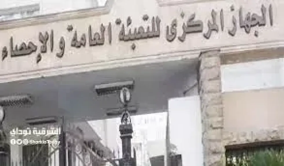 الإحصاء: مصر تسجل 750 ألف نسمة زيادة في عدد سكانها خلال 196 يوما