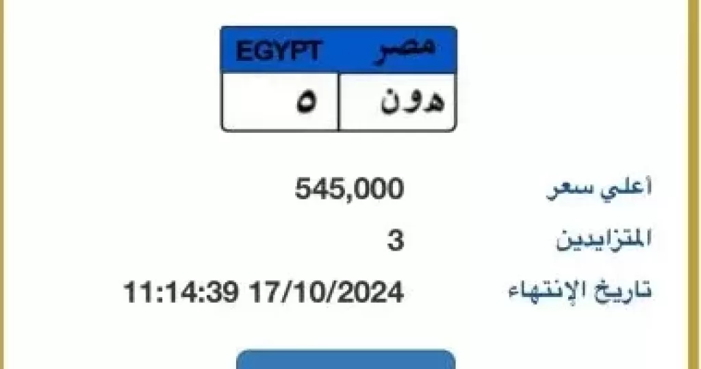 ”هـ و ن- 5” لوحة مميزة جديدة يزايد عليها 3 أشخاص بسعر يتخطى نصف مليون جنيه