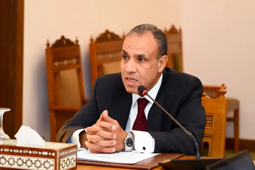 الخارجية تتابع عن كثب أوضاع المصريين فى مالى