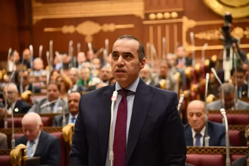 الحكومة تستجيب لزراعة النواب: صرف باقى مستحقات مزارعى القطن خلال 24 ساعة