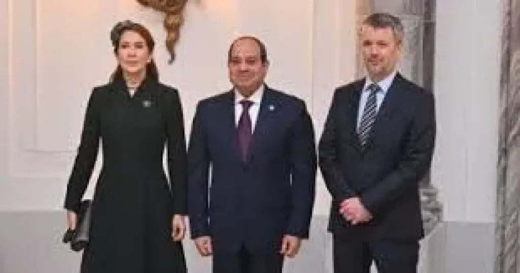 السيسي في الدنمارك 