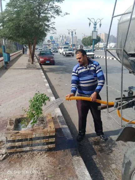 محافظ أسيوط: زراعة الأشجار بالطريق الدائري بحي غرب أسيوط