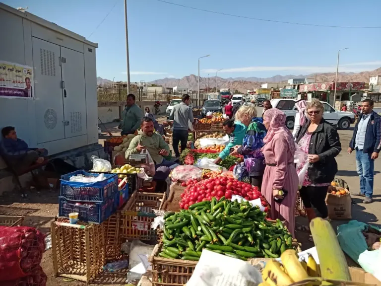 للمرة الخامسة على التوالي: افتتاح سوق اليوم الواحد بمدينة دهب بجنوب سيناء