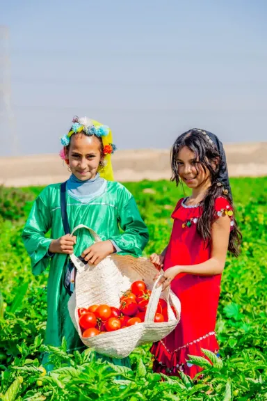 السبت .. ”افرولاند للتنمية المستدامة” تطلق مهرجان الطماطم بالأقصر