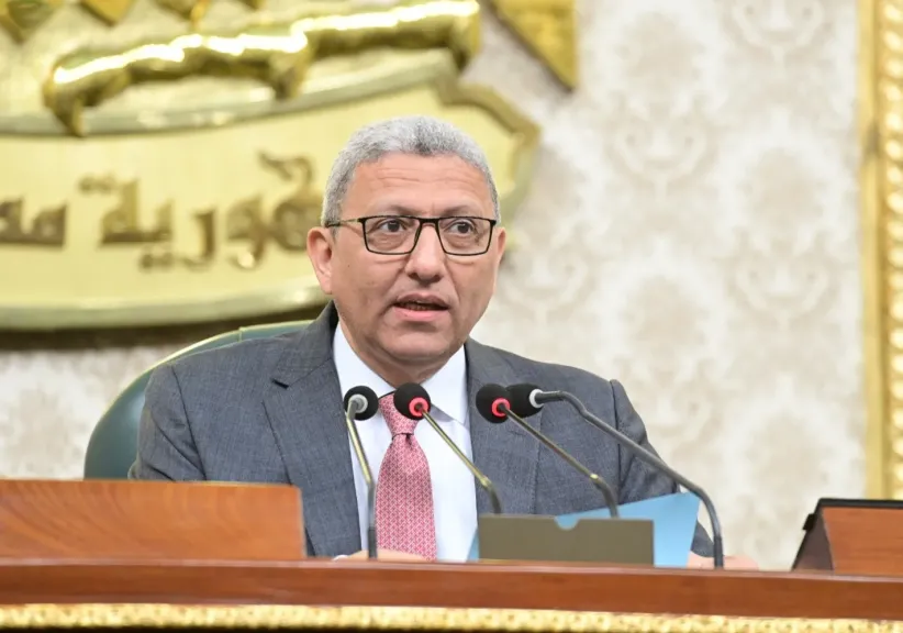  المستشار احمد سعد الدين وكيل اول مجلس النواب 