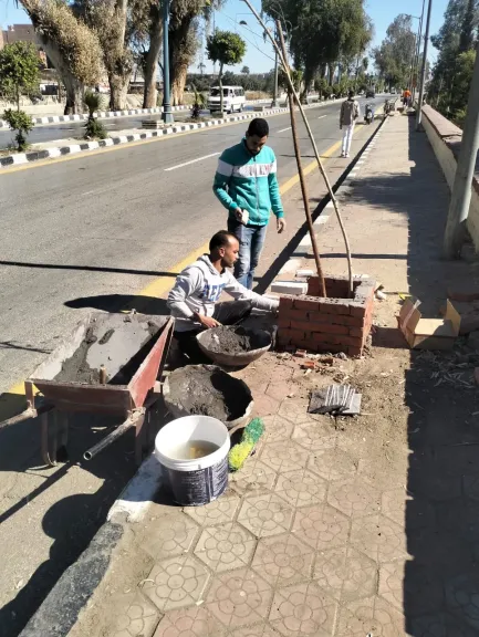 محافظ أسيوط: مواصلة زراعة الأشجار وتطوير أحواض الزراعة بشوارع حي غرب