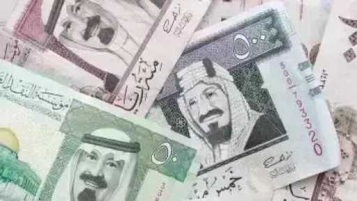 سعر الريال السعودى اليوم الأربعاء 14-5-2025 بمنتصف التعاملات