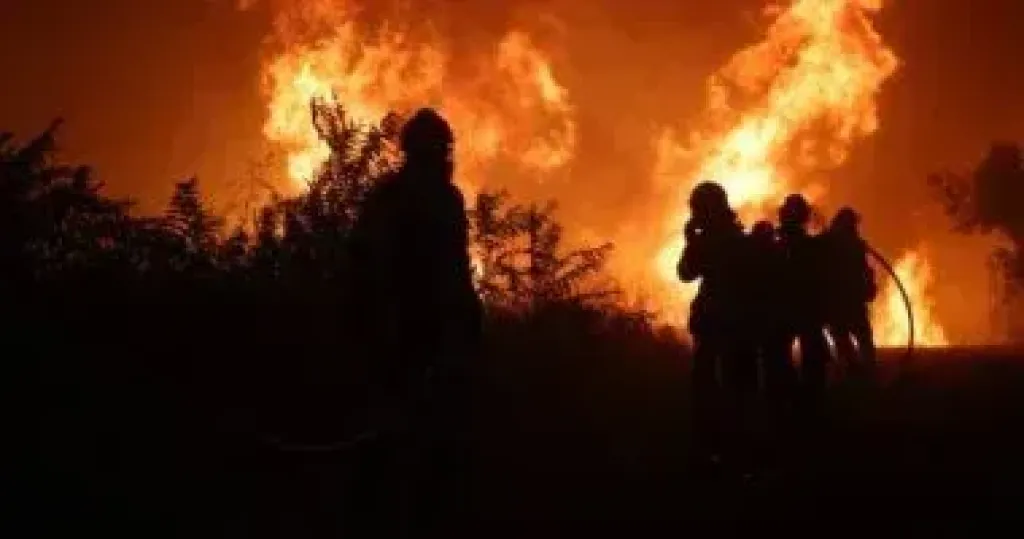 كوريا الجنوبية: إخماد حريق للغابات بمقاطعة ”جانجوون” بعد أكثر من 18 ساعة