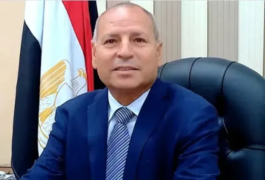 محافظ القاهرة يأمر بحظر الدعاية الانتخابية على بُعد 200 متر من مقار اللجان