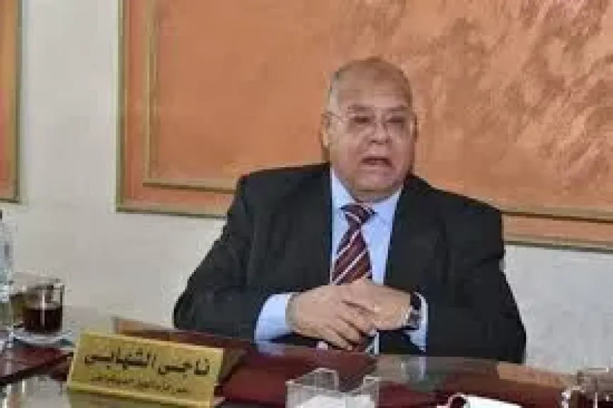 الشهابي :الفيتو الأمريكى سلاح ضد العدالة ومصر بصلابتها تحمى الأمن القومى العربى