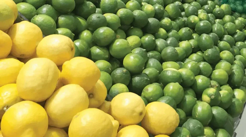 شعبة الخضر تكشف عن أسباب ارتفاع أسعار الليمون وموعد انخفاضها