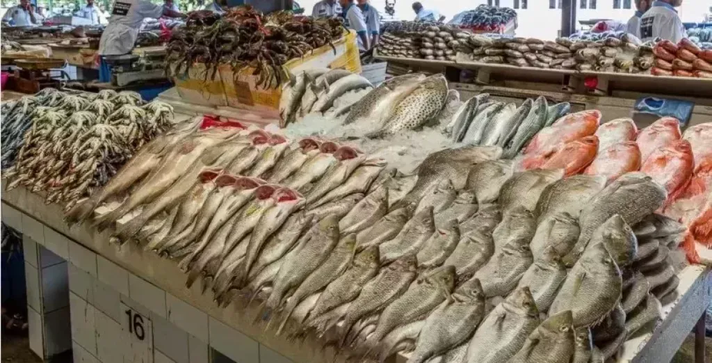 أسعار السمك اليوم، ارتفاع البلطي والبوري والجمبري في سوق العبور