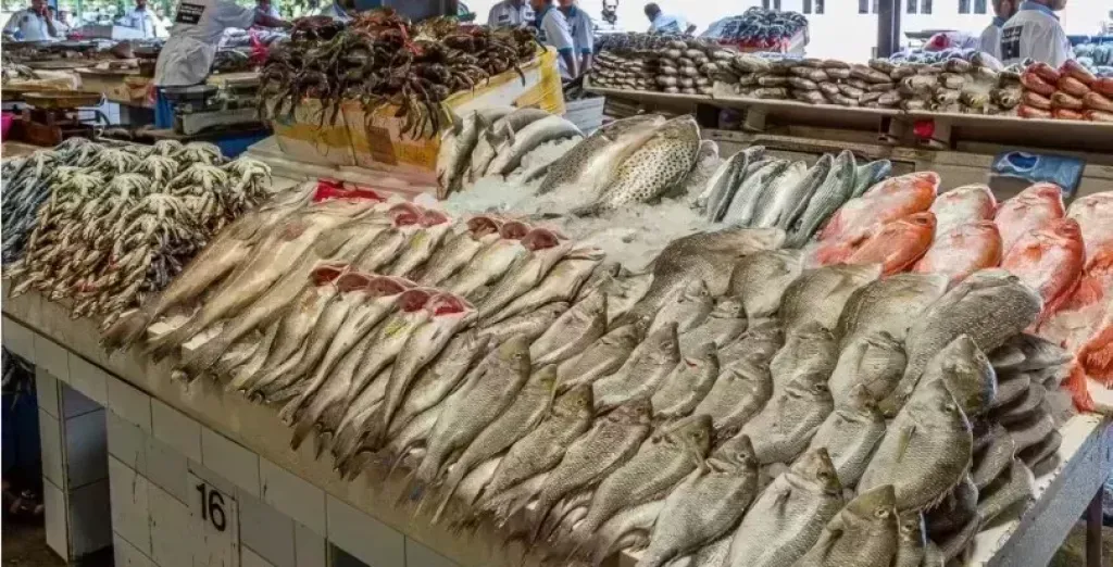 تابع أسعار الجمبري والسبيط في الأسواق المصرية اليوم السبت 21 يونيو