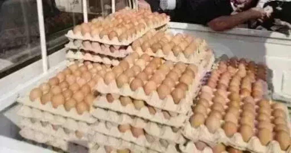 كل ماتريد  معرفته عن سعر طبق البيض اليوم الأربعاء 21 مايو