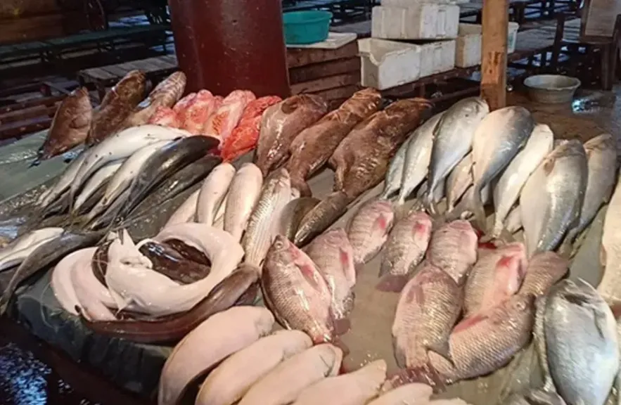 البلطي بـ 70 جنيها.. أسعار السمك والجمبري في سوق العبور اليوم الأحد 25 مايو 2025
