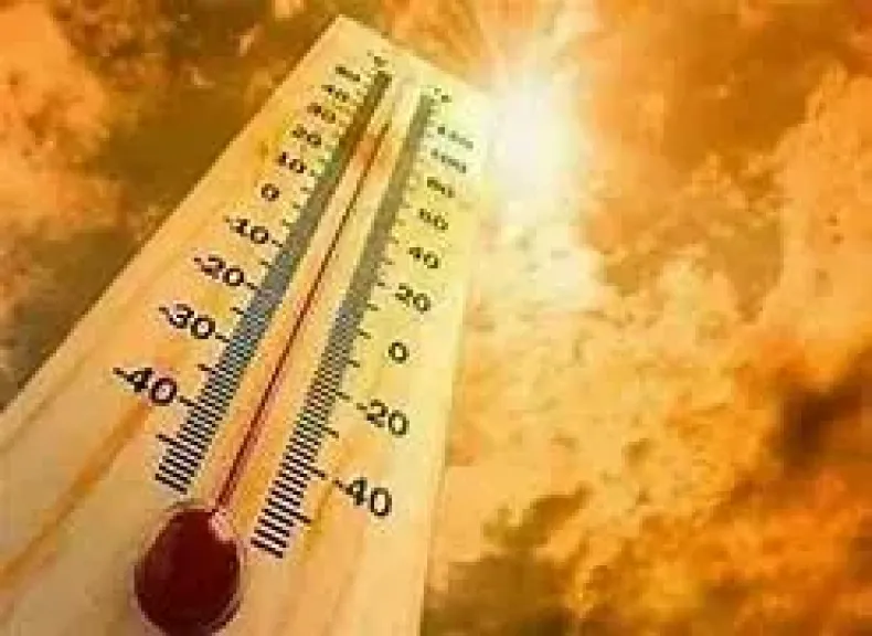 الأرصاد: 3 ظواهر جوية تضرب البلاد في نهاية الأسبوع.. شبورة وأتربة ورياح