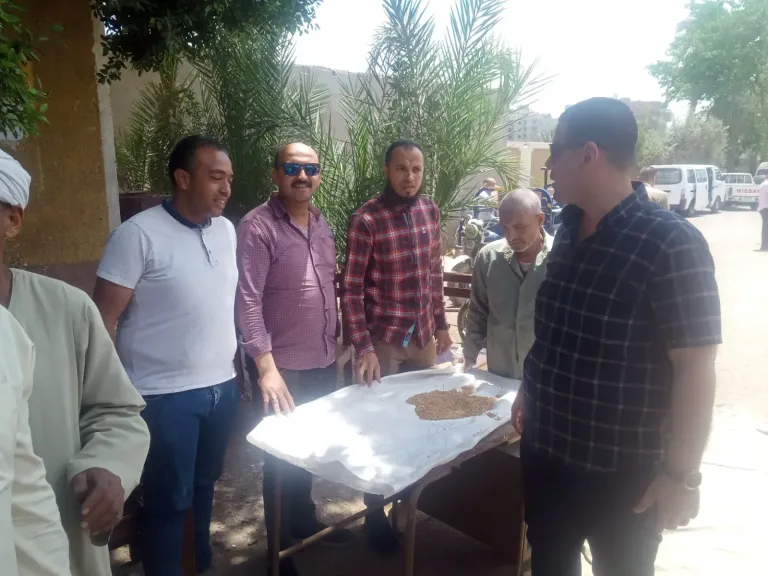 التموين  توريد مايقرب من٤٧الف طن قمح محلى من مزارعى بنى سويف منذ بدء موسم٢٠٢٥حتى اليوم