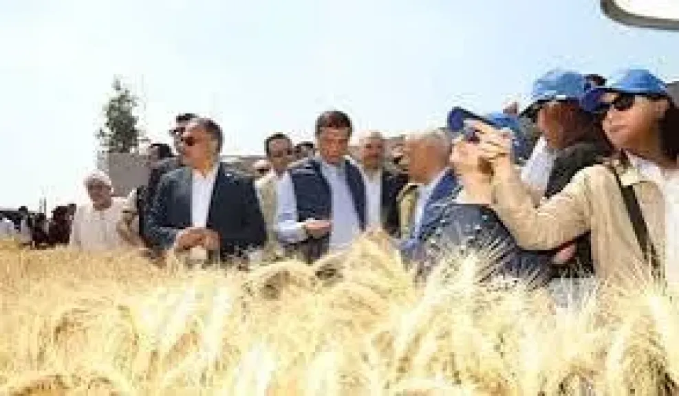 الزراعة تنفذ مشروع بناء القدرة على الصمود وتعزيز الأمن الغذائي للأسر الريفية
