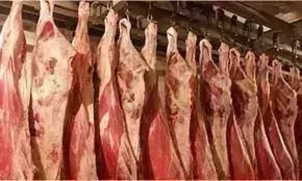 كل ما تريد معرفته عن أسعار اللحوم في الأسواق