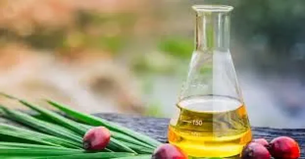هذا الزيت الموجود في الخبز والمكرونة يضر بصحة الشرايين.. اعرف التفاصيل