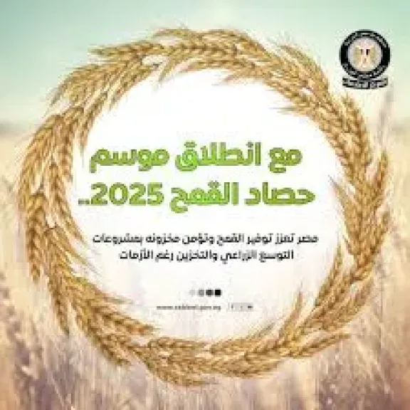 الحكومة تستعرض بالإنفوجراف جهود تعزيز الإنتاج المحلى من القمح وتأمين مخزونه