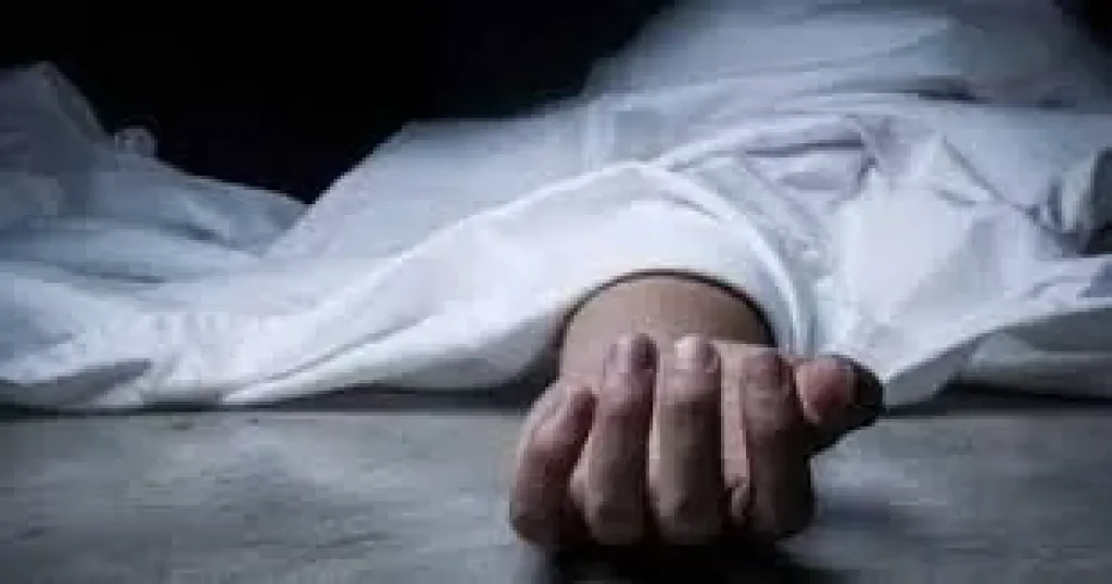 مصرع سيدة وإصابة 3 فى حادث تصادم سيارة ربع نقل مع توك توك بالدقهلية