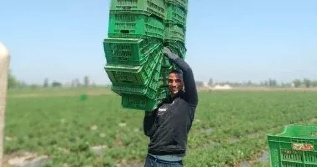 يحيى شعبان لاعب طائرة الاتحاد السكنرى