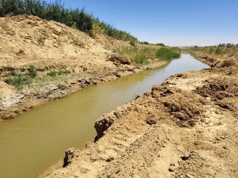 ”بحوث الصحراء” ينظم دورة إرشادية لدعم مزارعي التجمعات التنموية برأس سدر وطور سيناء