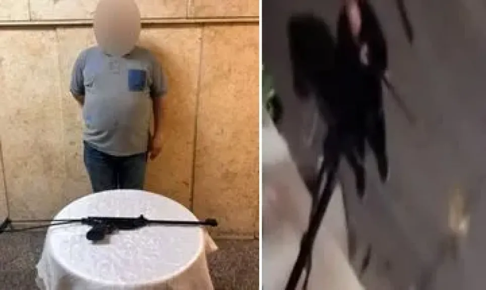 بسبب هجوم سابق.. ضبط سائق أطلق أعيرة رش على الكلاب في مصر الجديدة