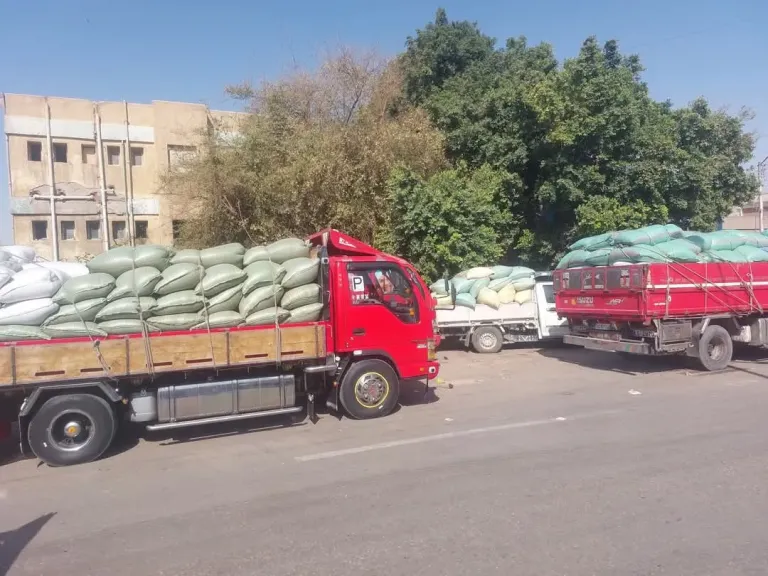 محافظ أسيوط: ارتفاع كميات القمح المحلي الموردة للشون والصوامع