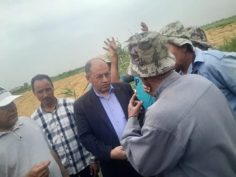 عزام يلتقى بمزارعى القمح فى الغيط ويحثهم على التوريد ضرورى