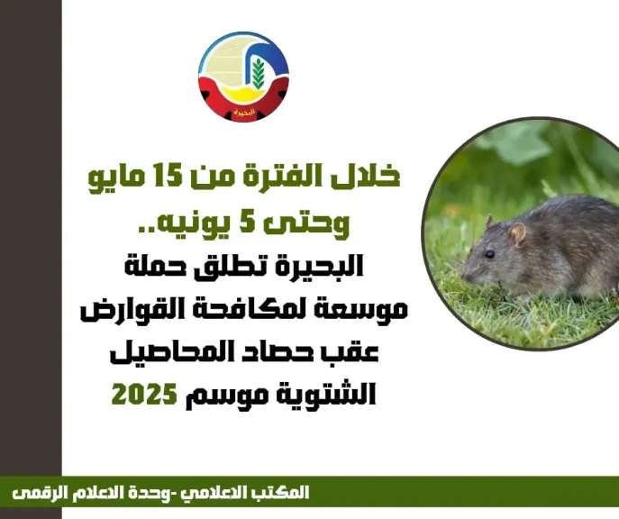 البحيرة تطلق حملة موسعة لمكافحة القوارض عقب حصاد المحاصيل الشتوية