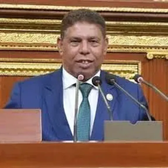 النائب  سيد عوض :  التناغم بين السياسات الاقتصادية تعكس رؤية دقيقة لاستدامة الاستقرار المالي والنقدي
