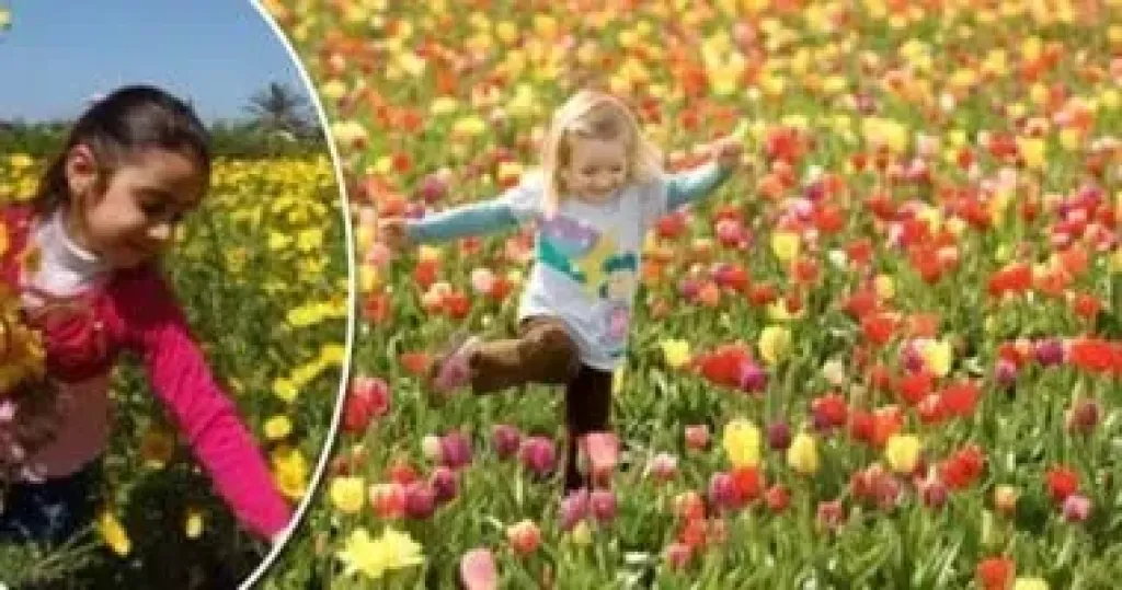 موعد عيد الأضحى 2025 وجدول الإجازات الرسمية