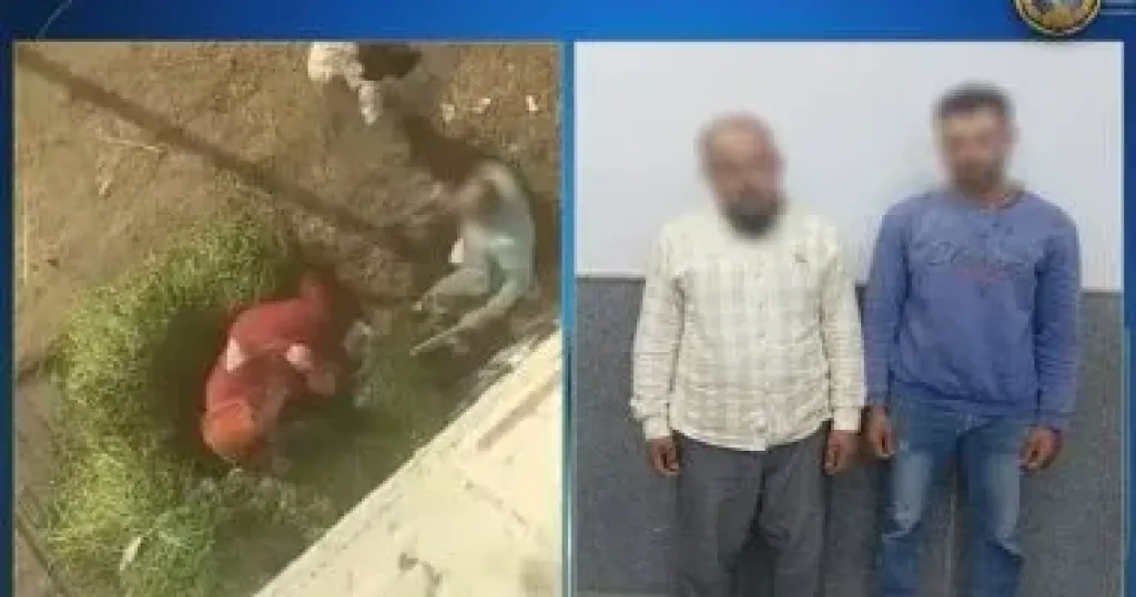 القبض على المتهمين بضرب سيدة بسبب خلافات على أرض زراعية بالدقهلية