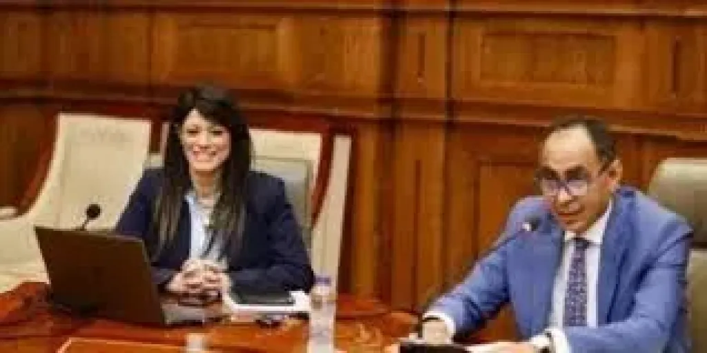 التخطيط: 25 مليار جنيه لثانى مراحل حياة كريمة.. و28 مليارا استثمارات التنمية المحلية