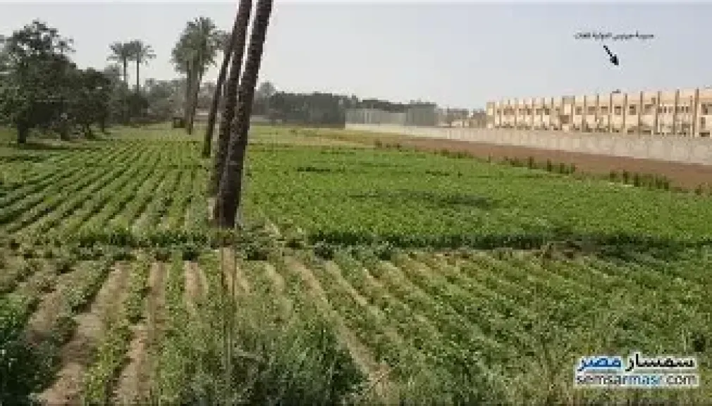 زراعة البحيرة تحذر الفلاحين من خطورة دودة الحشد الخريفية فى ندوة بالرحمانية