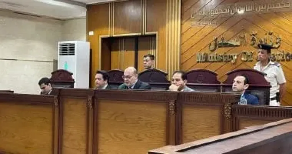 إحالة أوراق شقيقين للمفتى بتهمة تسديد 6 طعنات لسائق توك توك وإلقائه حيا بالترعة