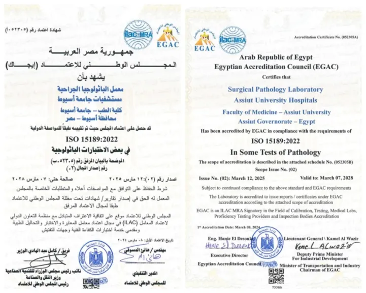 مستشفيات جامعة أسيوط تعلن عن حصول معمل الباثولوجيا الجراحية