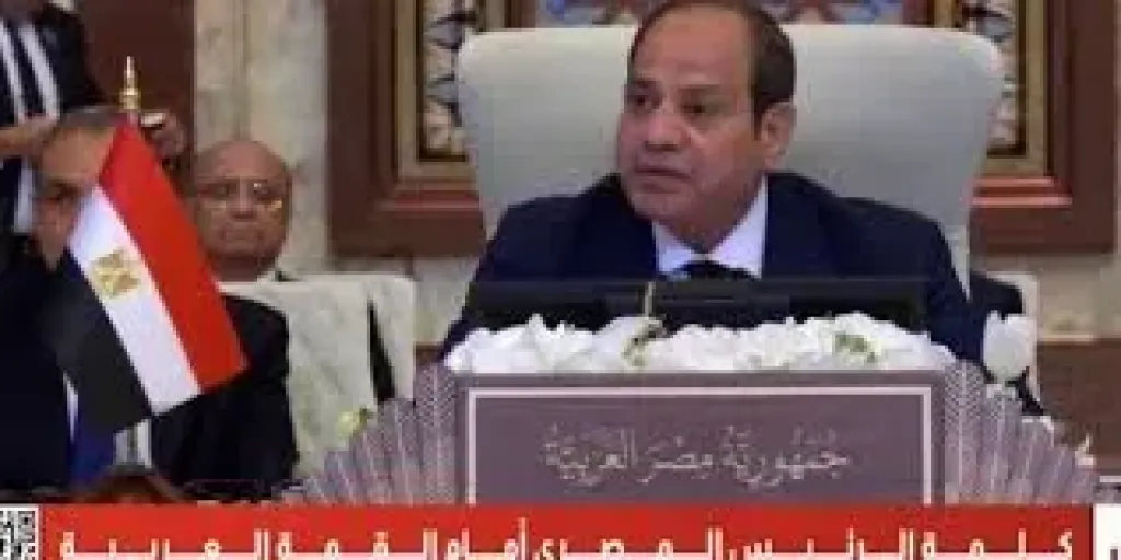 الرئيس السيسى: مصر كثفت جهودها السياسية لوقف نزيف الدم الفلسطينى